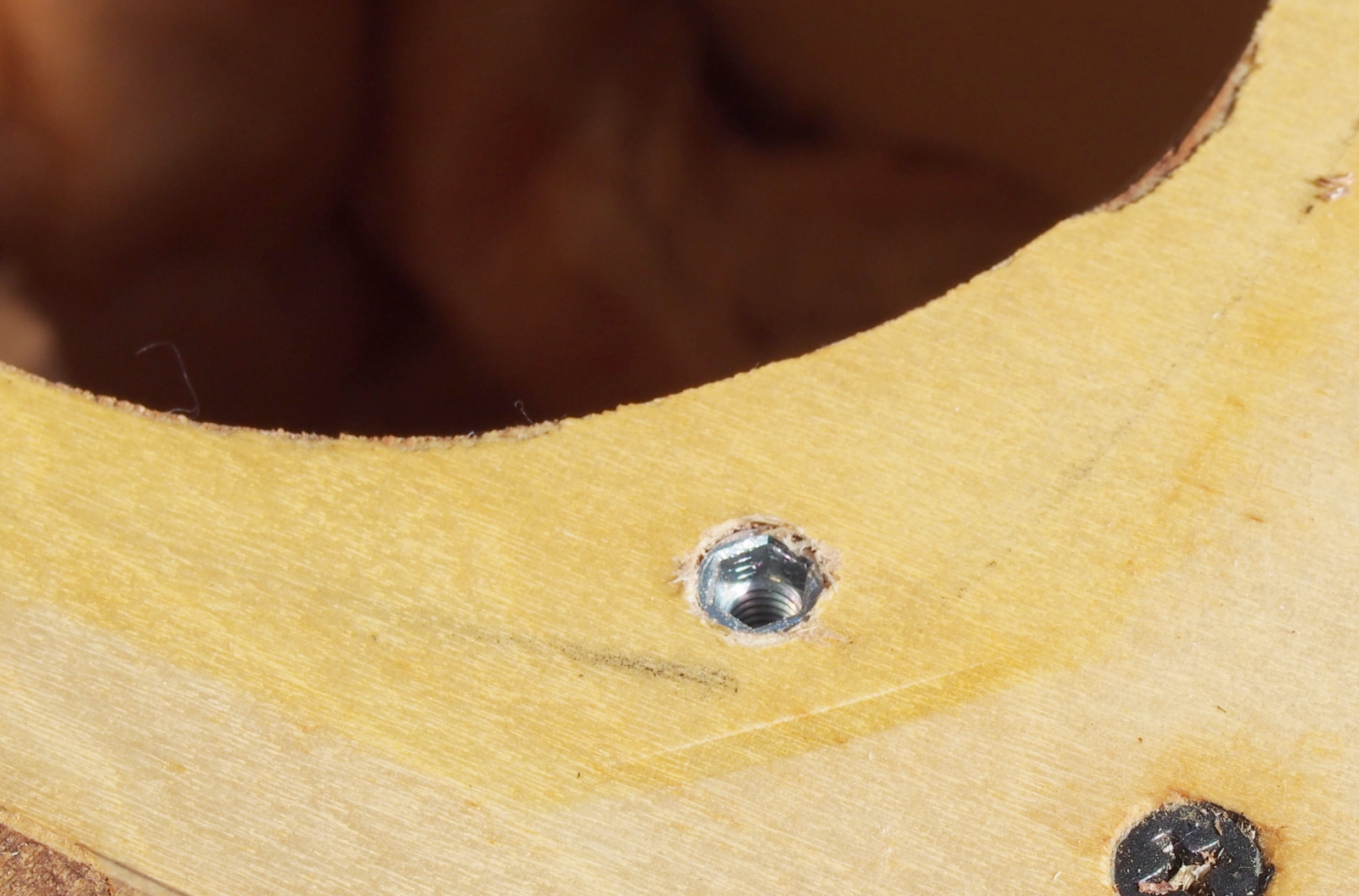 Insert nut fixed in enclosure of SS-312