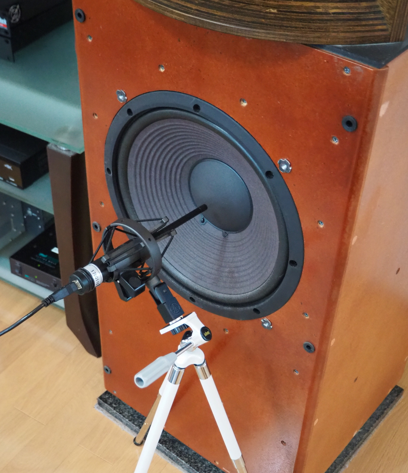 Near-field measurement of SS-309A